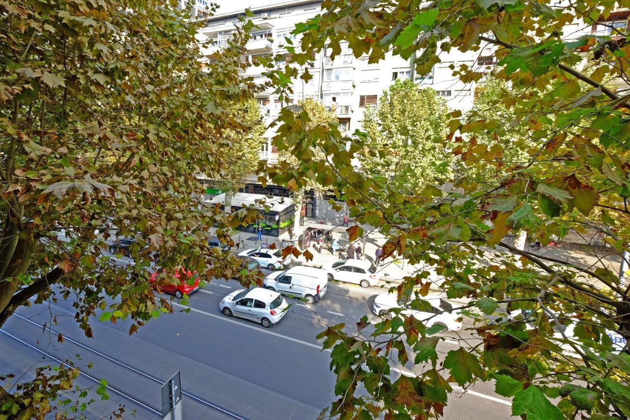 Paradise Symphony Belgrado